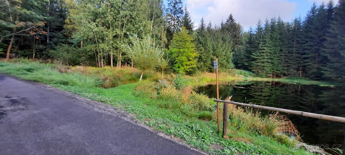 Prodej pozemek pro bydlení - Desná v Jizerských horách, 468 61