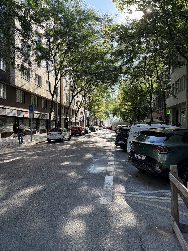 Pronájem ostatní - Praha - Karlín, okres Praha 8, Hlavní město Praha, 13 m² - 5