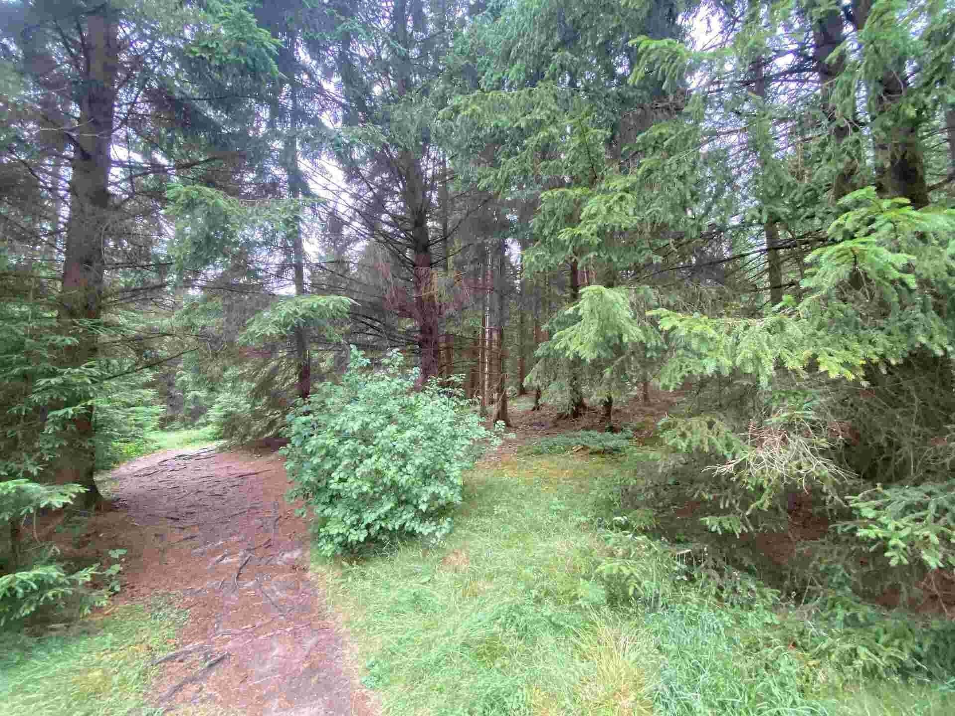 Zemědělské pozemky, Krásná, 1 440 m² - 2