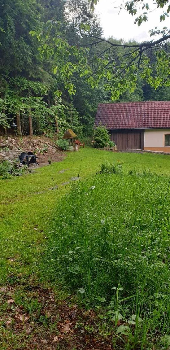 Chaty, Brloh - Janské Údolí, Jihočeský kraj - 2