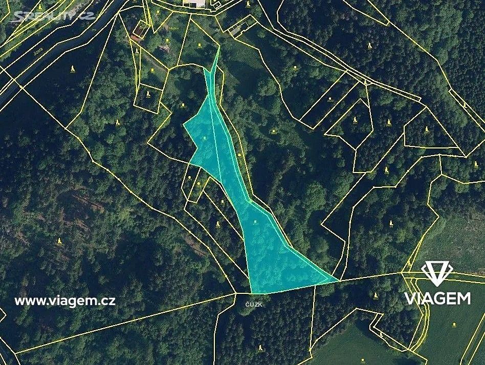 Les · Poniklá, okres Semily, Liberecký kraj - 3