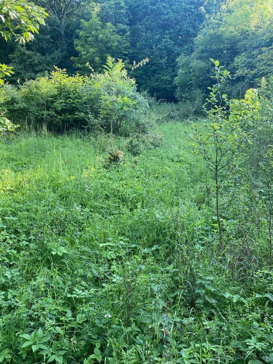 Zahrady, Třebenice, 411 13