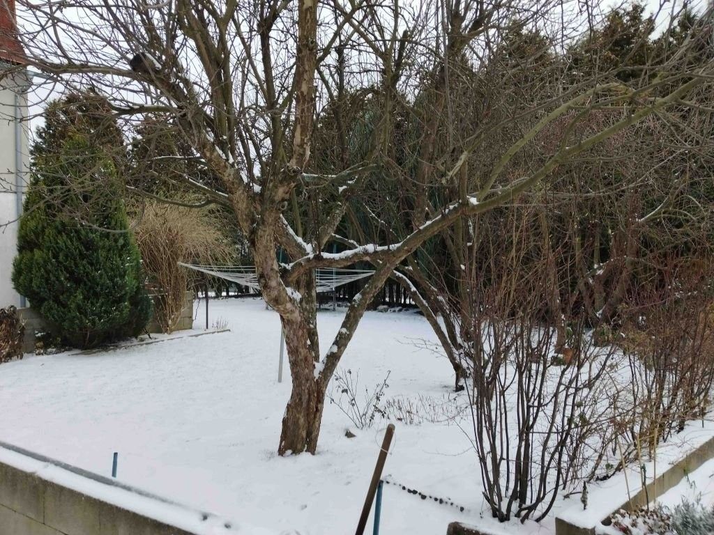 Prodej rodinný dům - Rynoltická, Hrádek nad Nisou, 731 m²