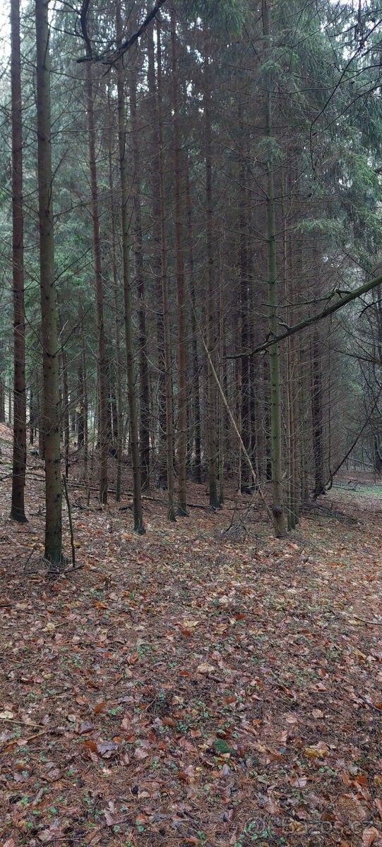 Pozemky pro bydlení, Slavičín, 763 21