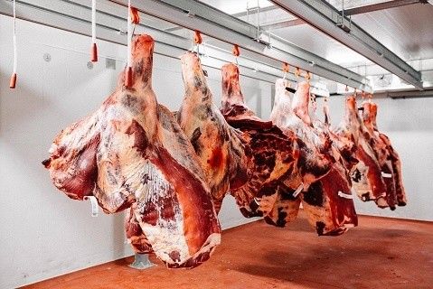 Pronájem pozemek pro bydlení - Choceň, 565 01