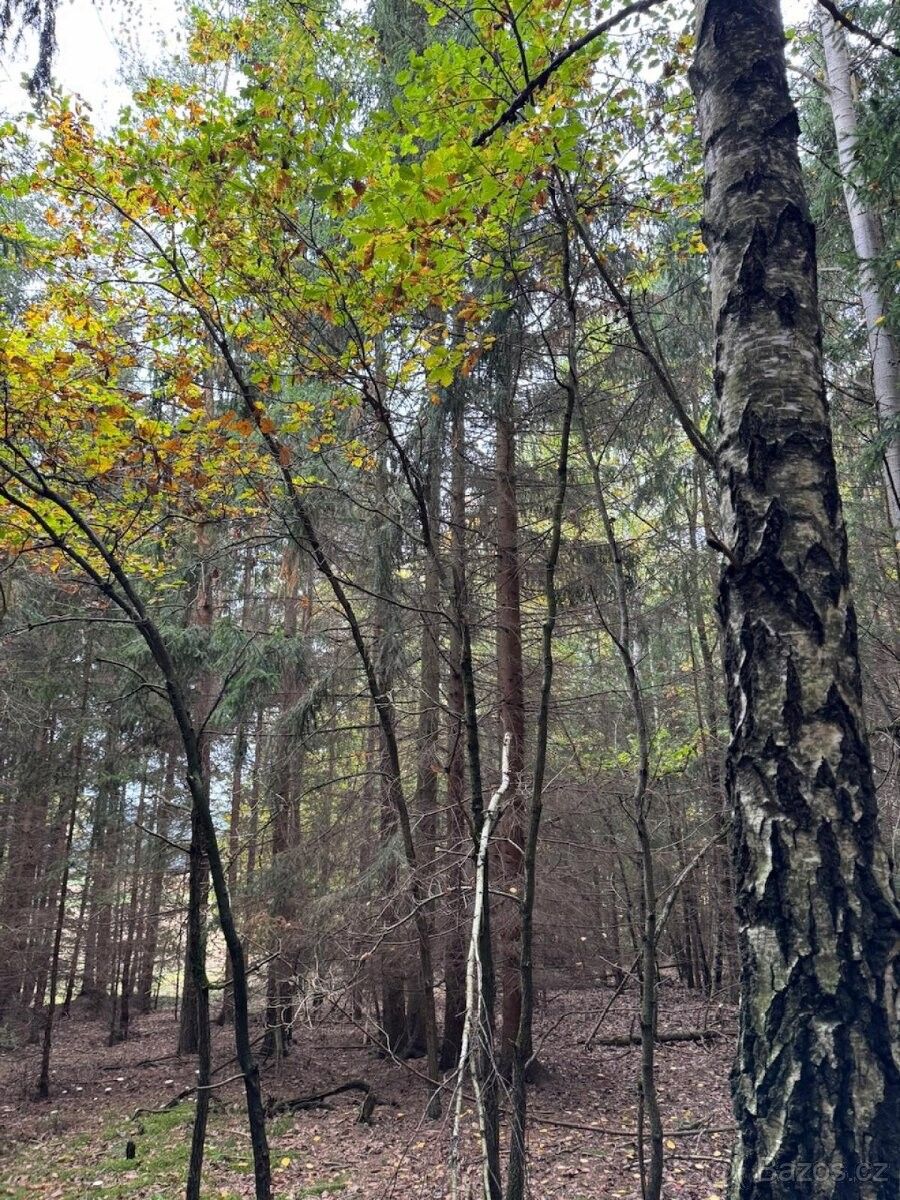 Pozemky pro bydlení, Týn nad Vltavou, 375 01