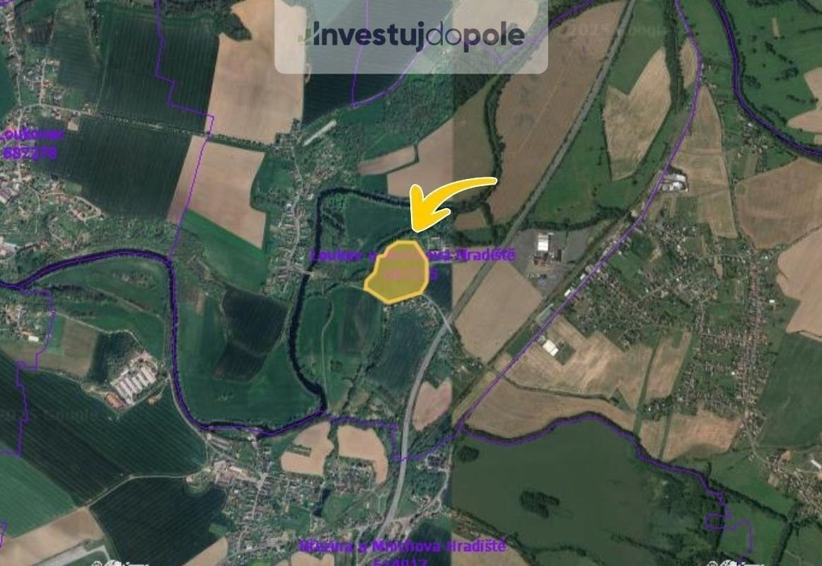 Prodej zemědělský pozemek - Loukov