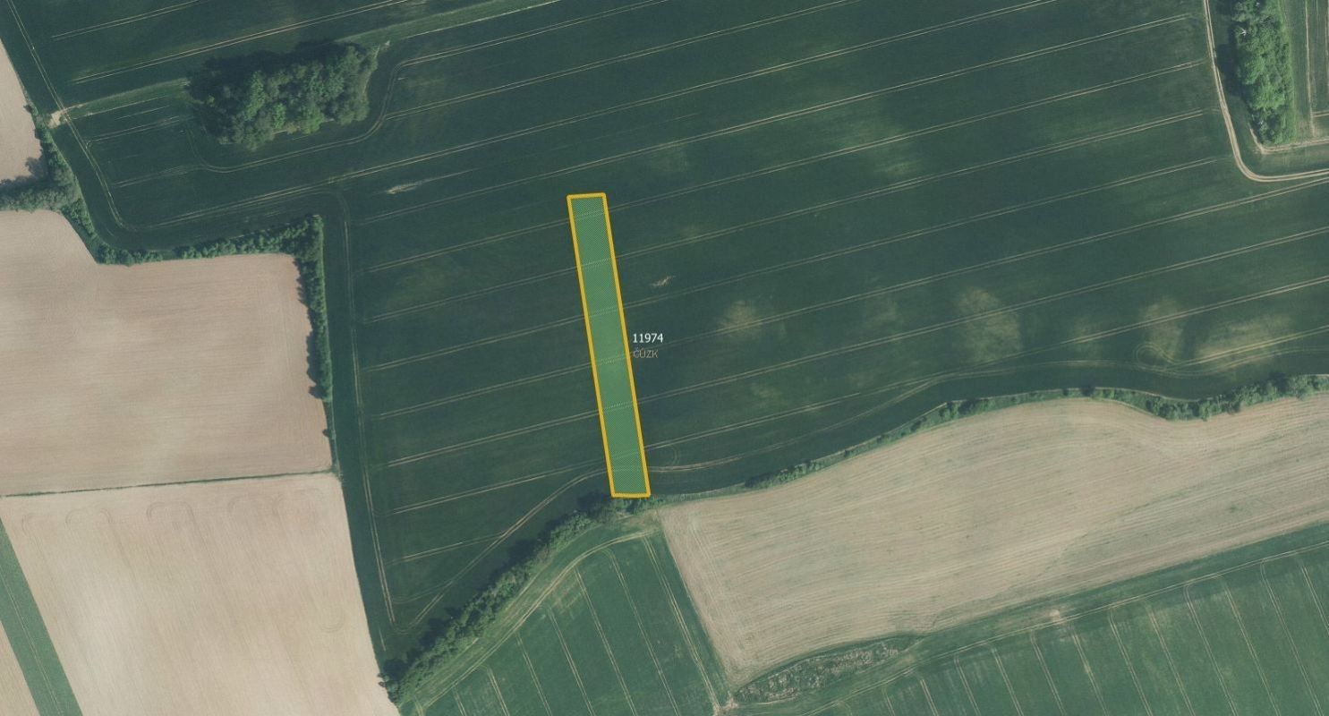 Prodej zemědělský pozemek - Čechy