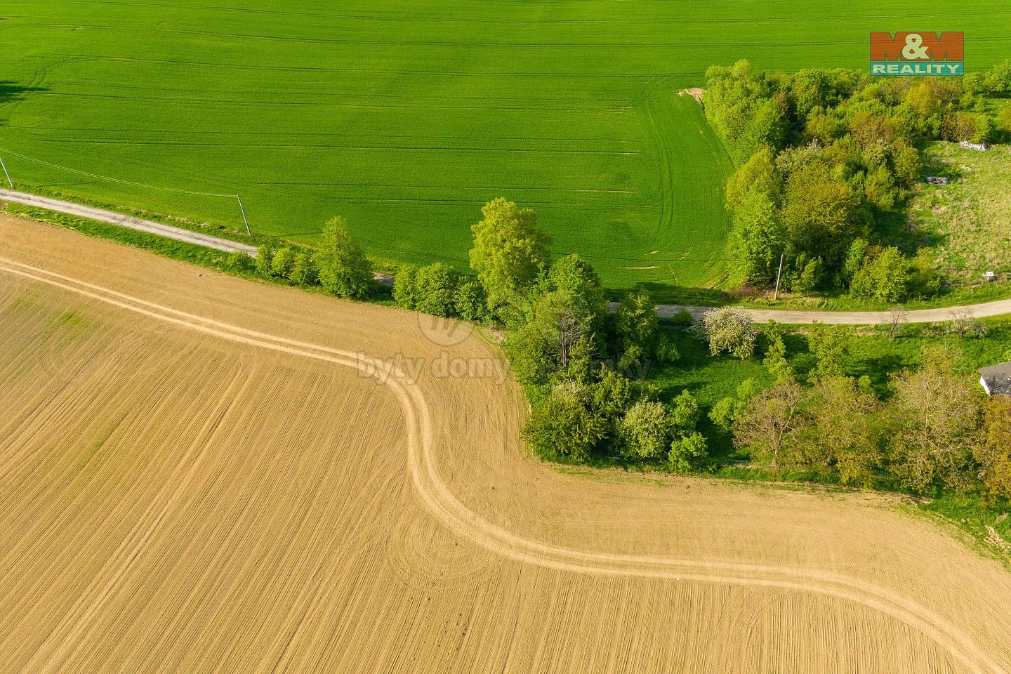 Prodej zemědělský pozemek - Mikulovice - Kolnovice, okres Jeseník - 5