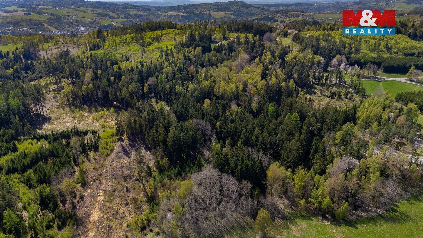 Les · Železný Brod, okres Jablonec nad Nisou, Liberecký kraj - 3