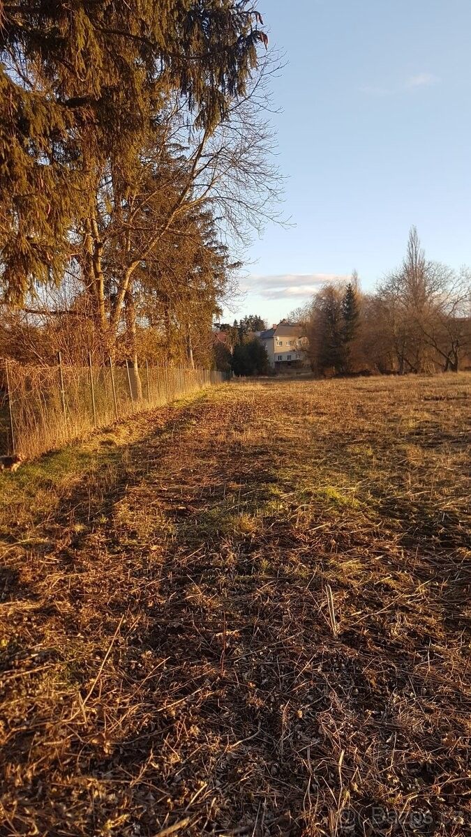 Zahrady, Olomouc, 779 00