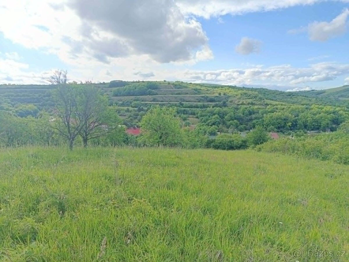 Pozemek pro bydlení · Uherčice u Hustopečí, 691 62 - 3