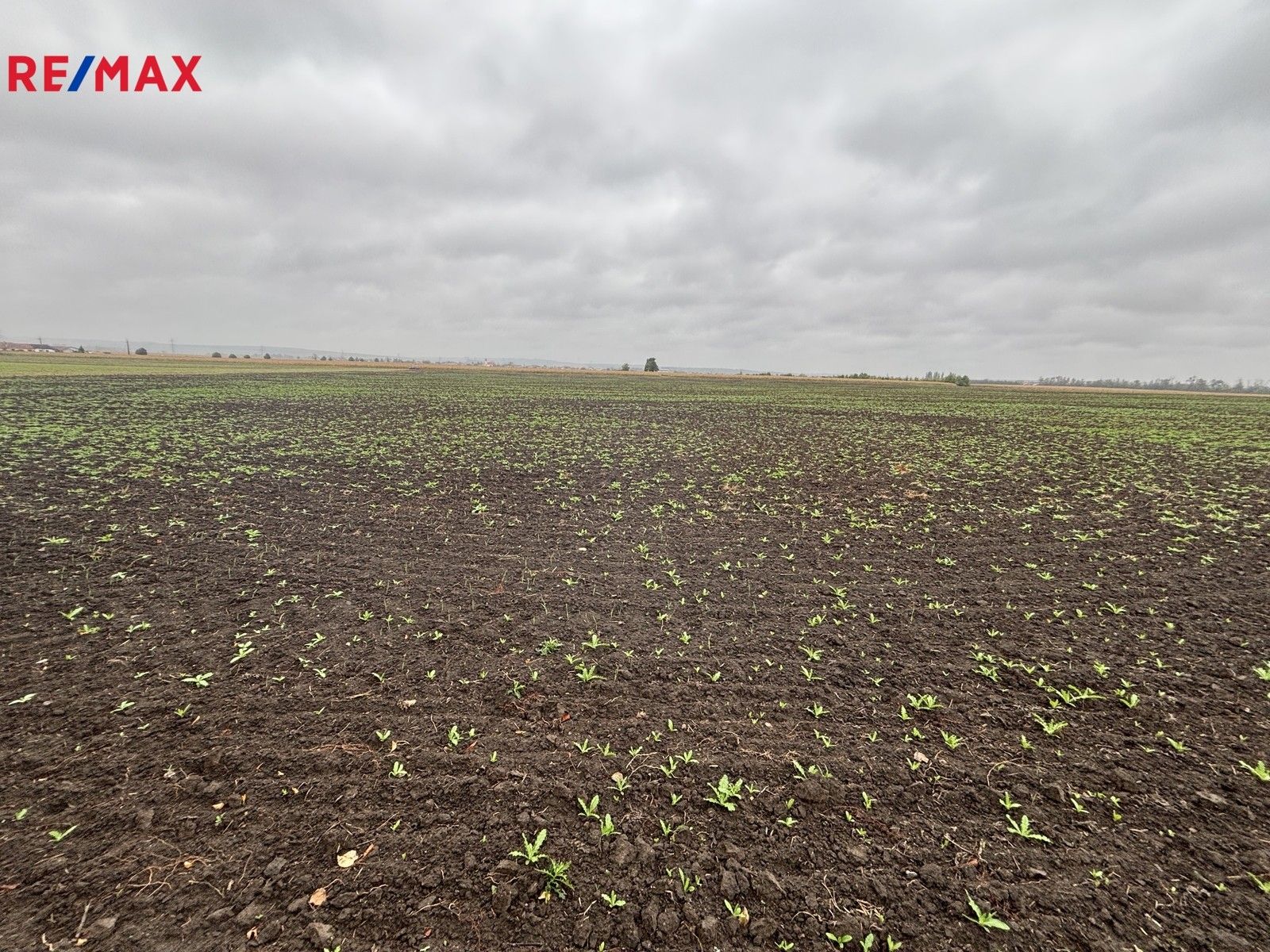 Prodej zemědělský pozemek - Vrbovec, 14 m²