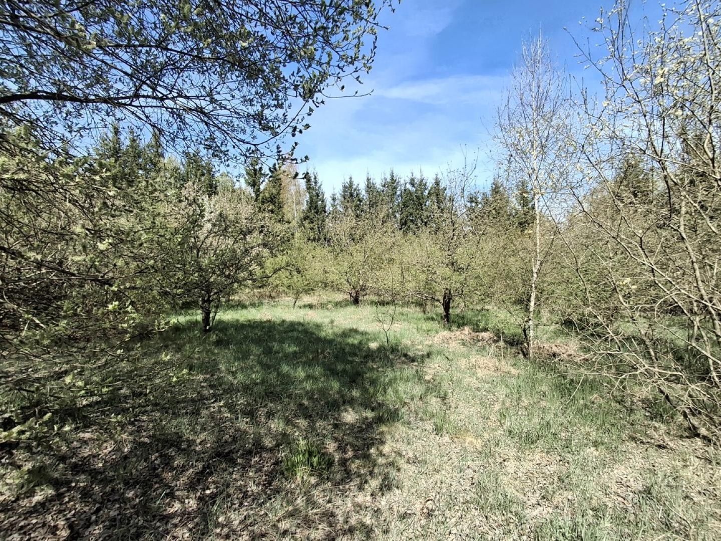 Prodej komerční pozemek - Dalovice - 5