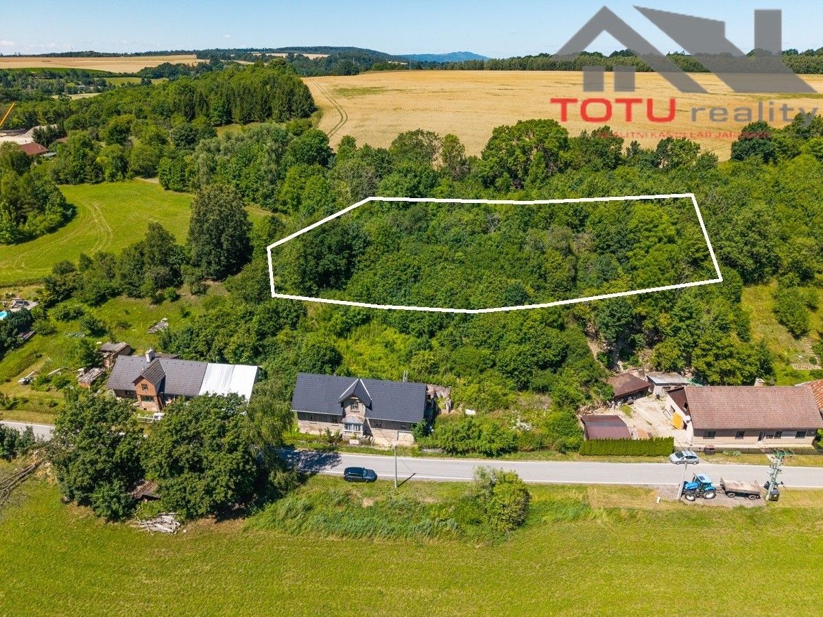 Pozemek, 2 915 m²