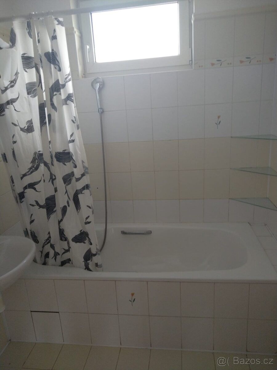 Byt · Žďár u Mnichova Hradiště, 294 12 - 4