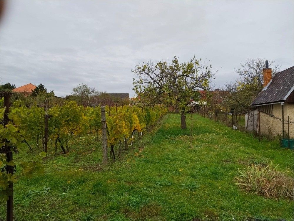 Pronájem zahrada - Dobšice, 671 82