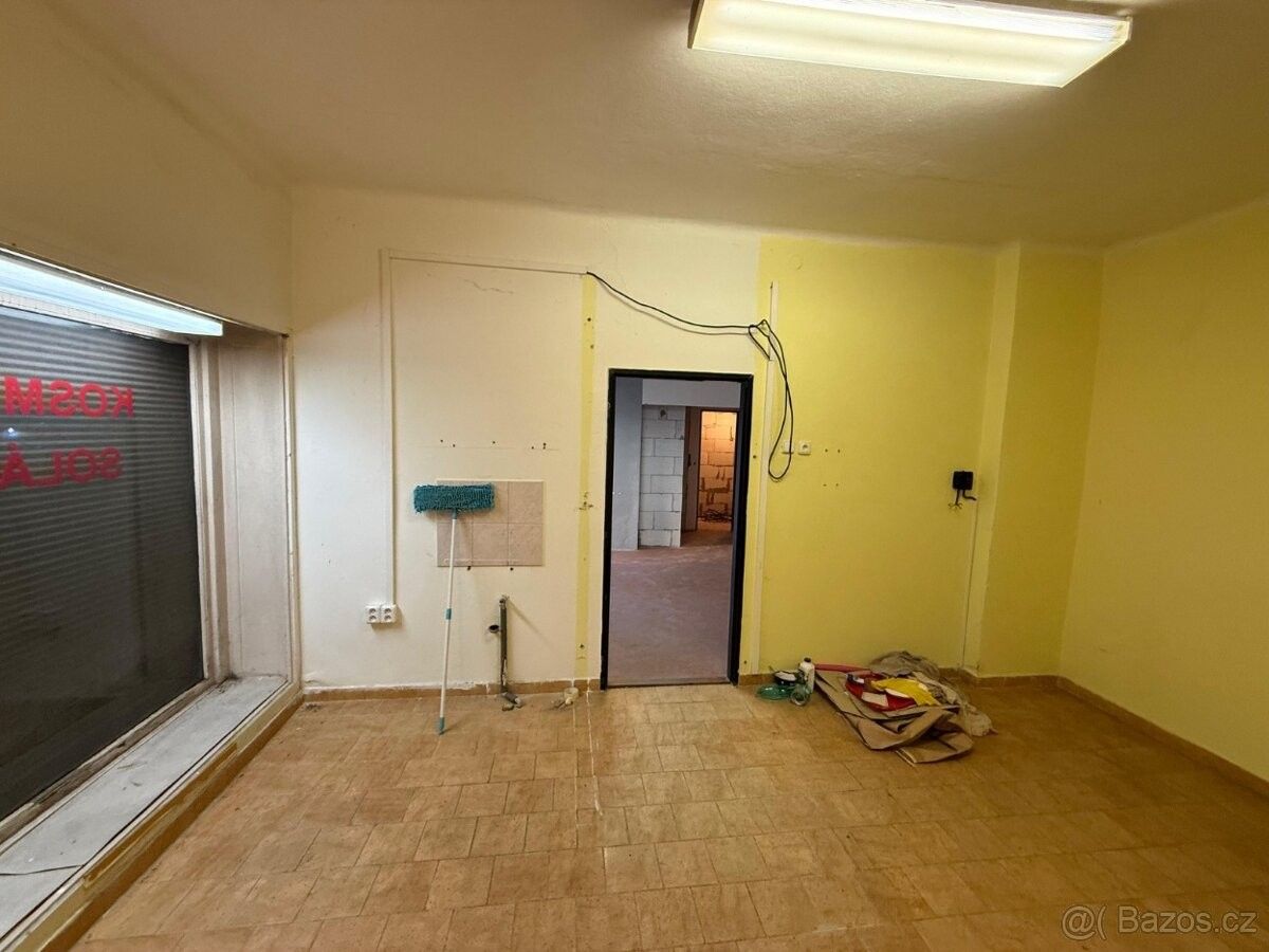 Pronájem obchodní prostory - Mnichovice, 251 64 - 5