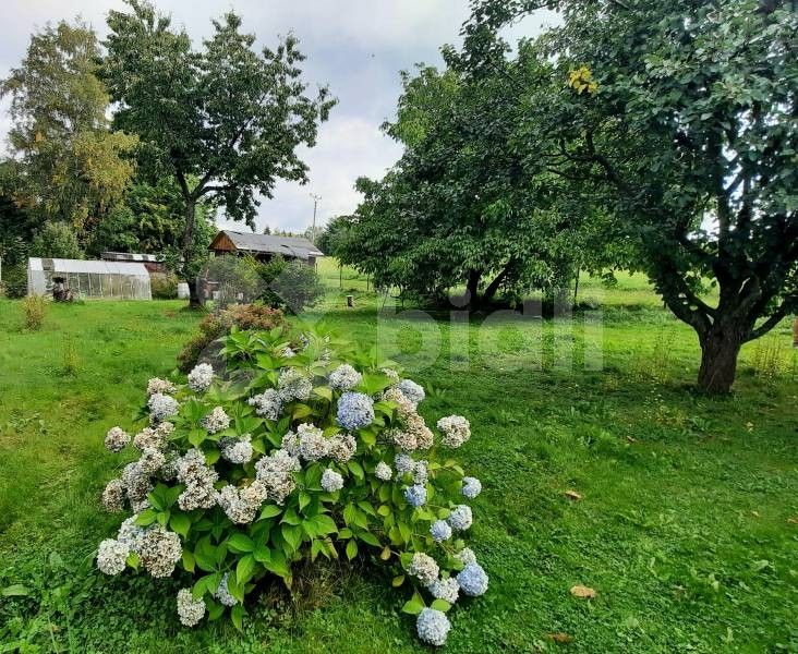 Prodej chata - Hasičská, Žacléř, 16 m²