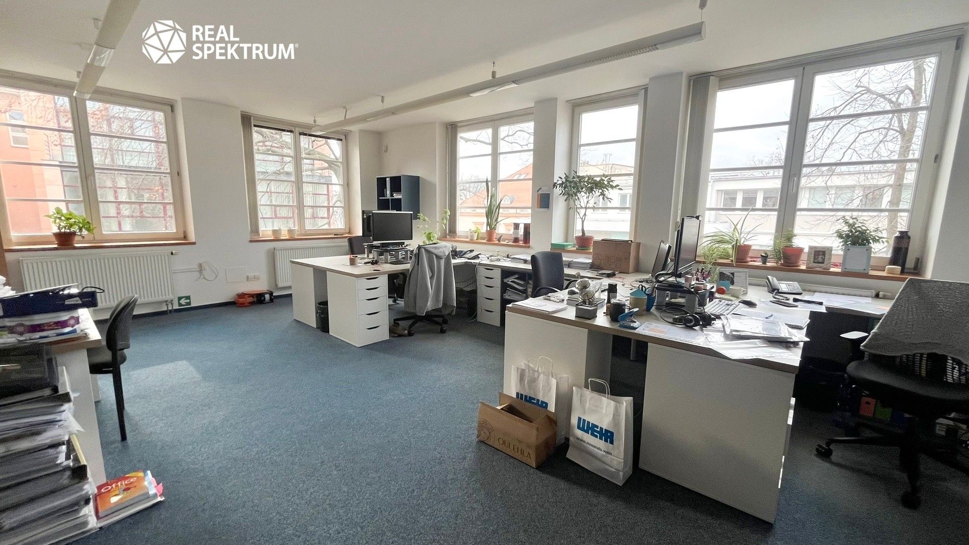 Pronájem kancelář - Hlinky, Brno, 118 m²