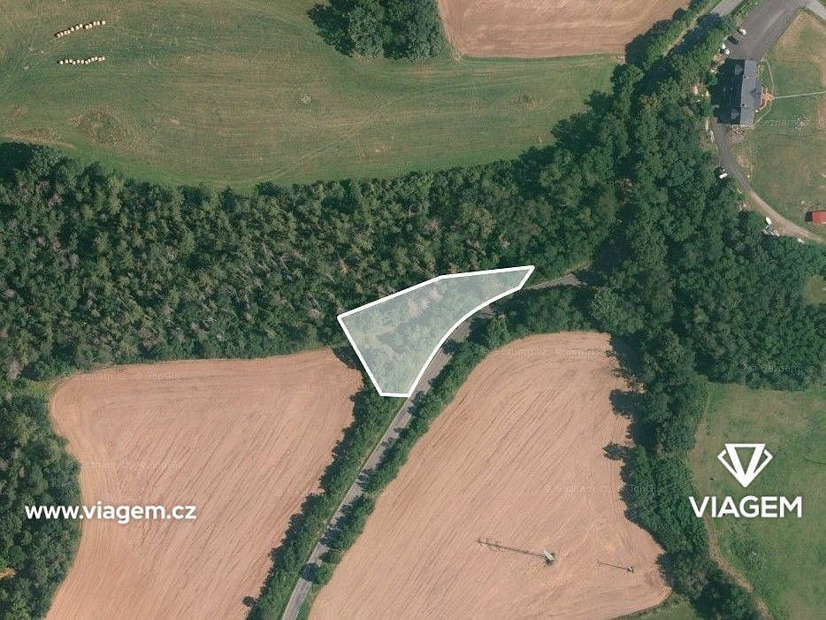 Prodej les - Čím, okres Příbram, Středočeský kraj - 2