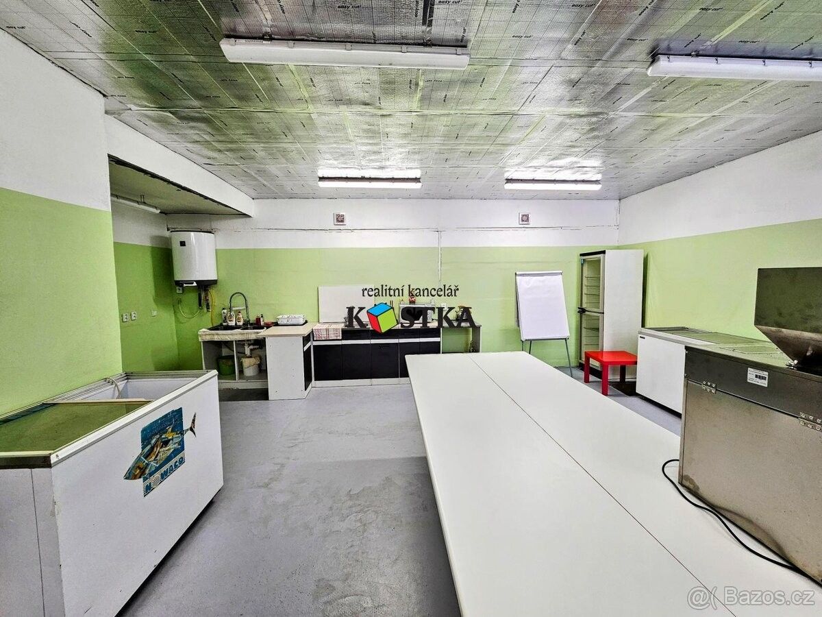 Ostatní, Budišov nad Budišovkou, 747 87