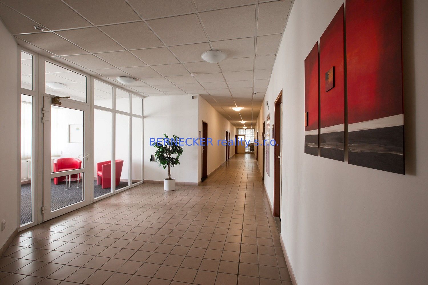 Pronájem kancelář - Bieblova, Hradec Králové - Slezské Předměstí, 17 m² - 5