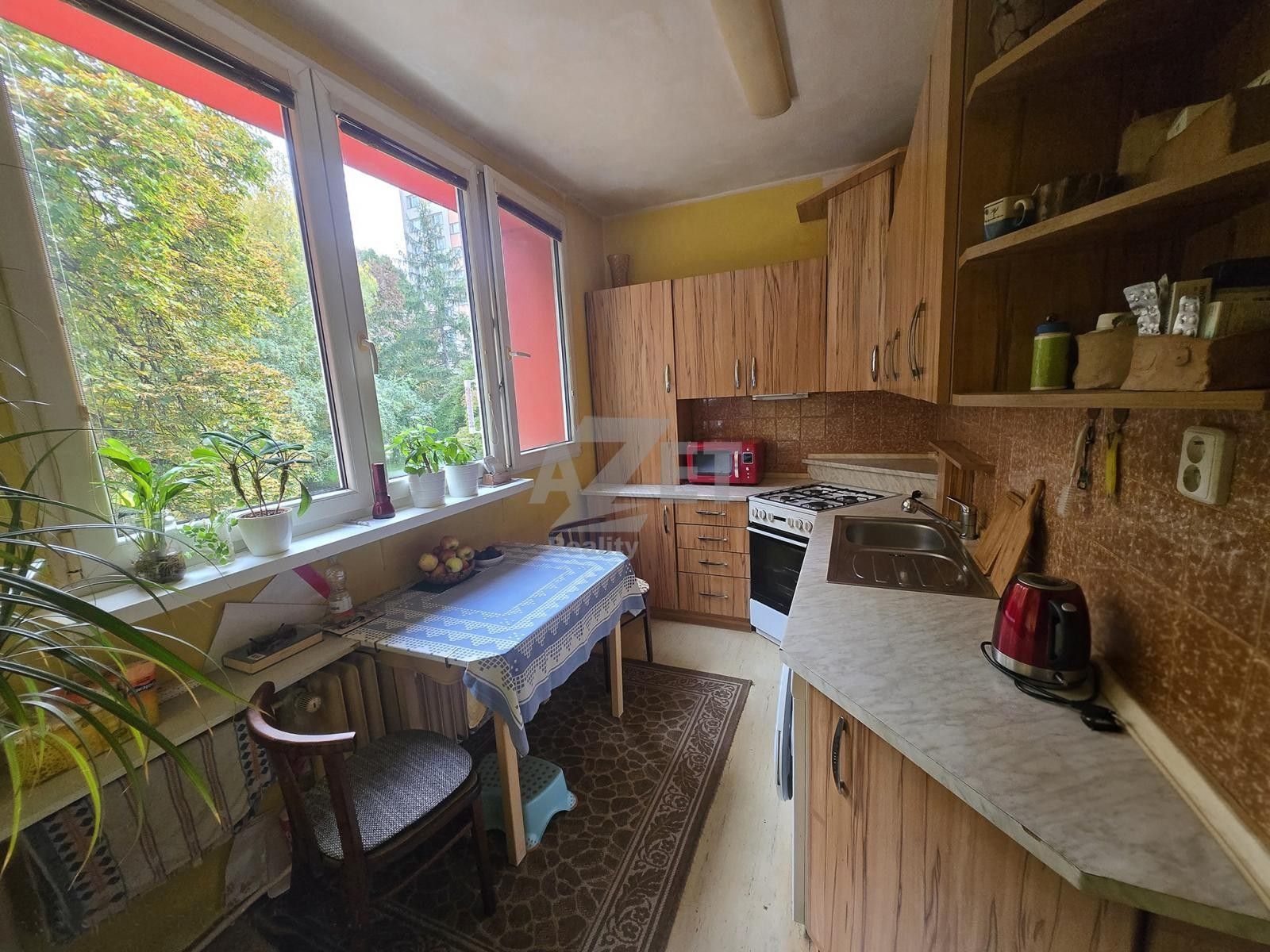 3+1, Jirská, Ostrava, 57 m²