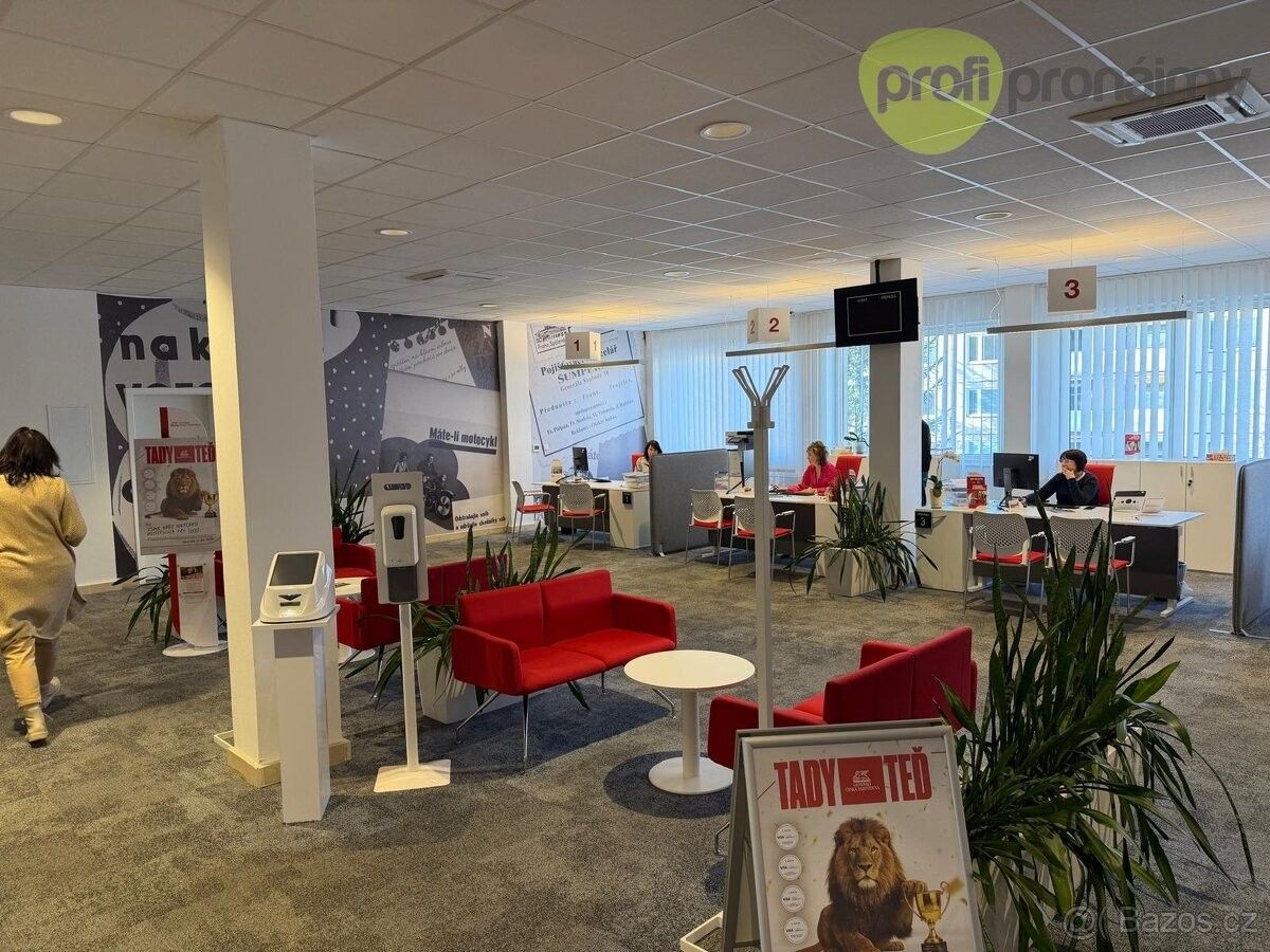 Obchodní prostory, Šumperk, 787 01 - 1