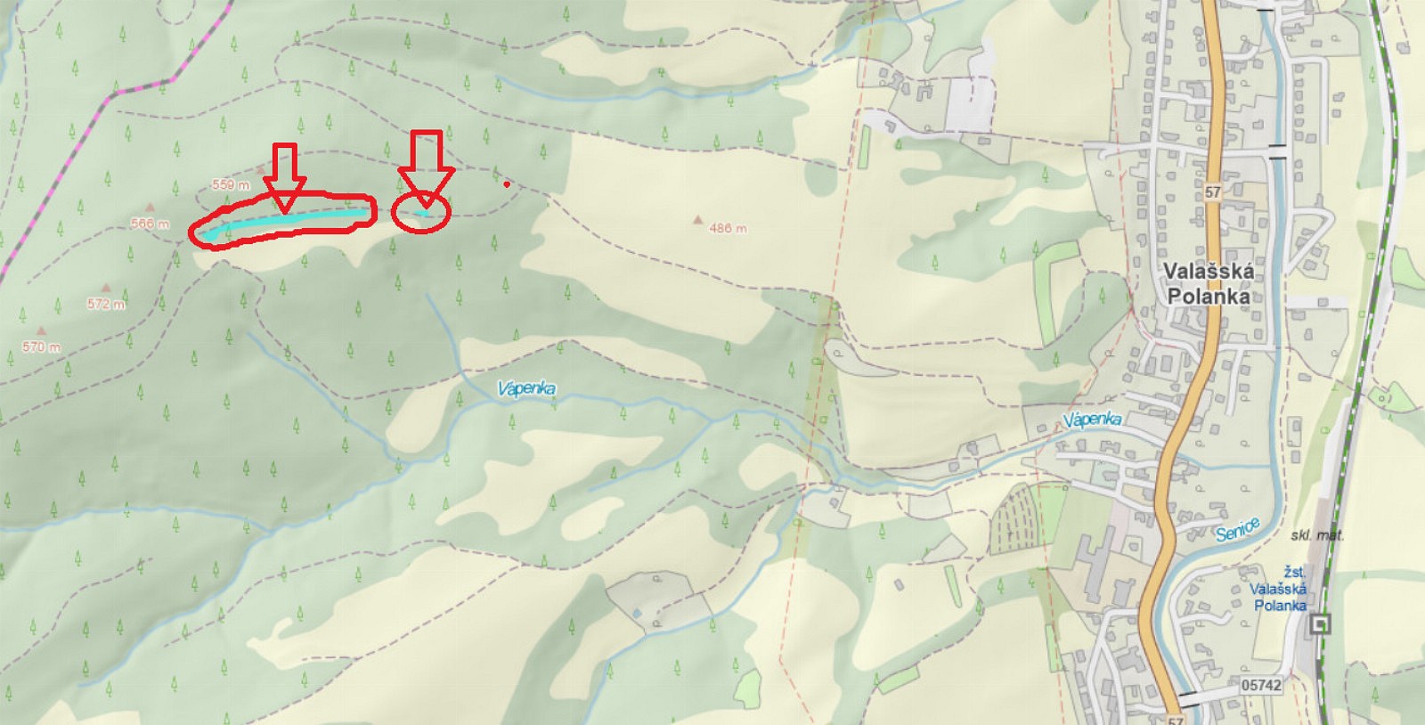 Prodej les - Nemojany, okres Vyškov - 5