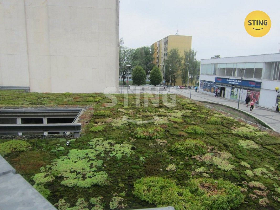 Pronájem obchodní prostory - Karviná - Mizerov, Moravskoslezský kraj, 78 m² - 5