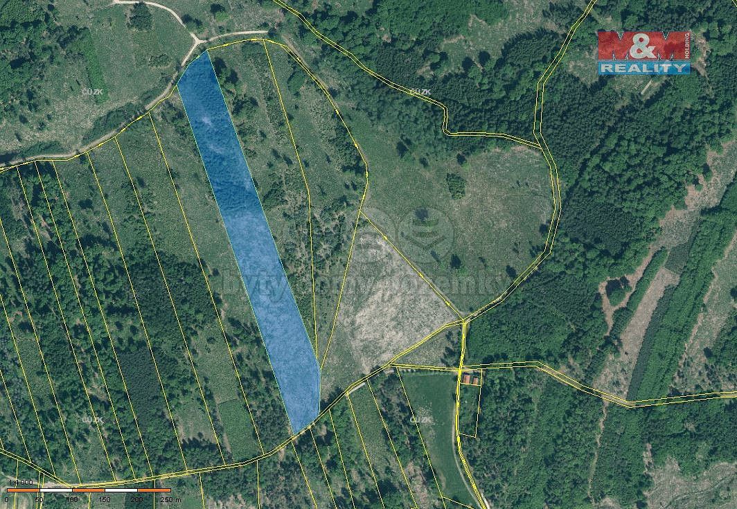 Lesy, Jetětice, okres Písek, Jihočeský kraj - 1