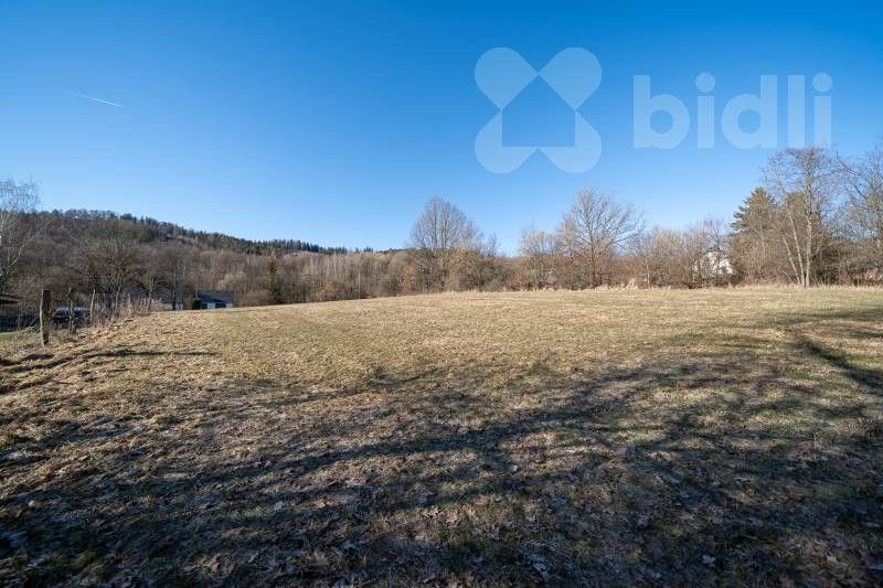 Prodej pozemek pro bydlení - Ludvíkov, Velké Losiny