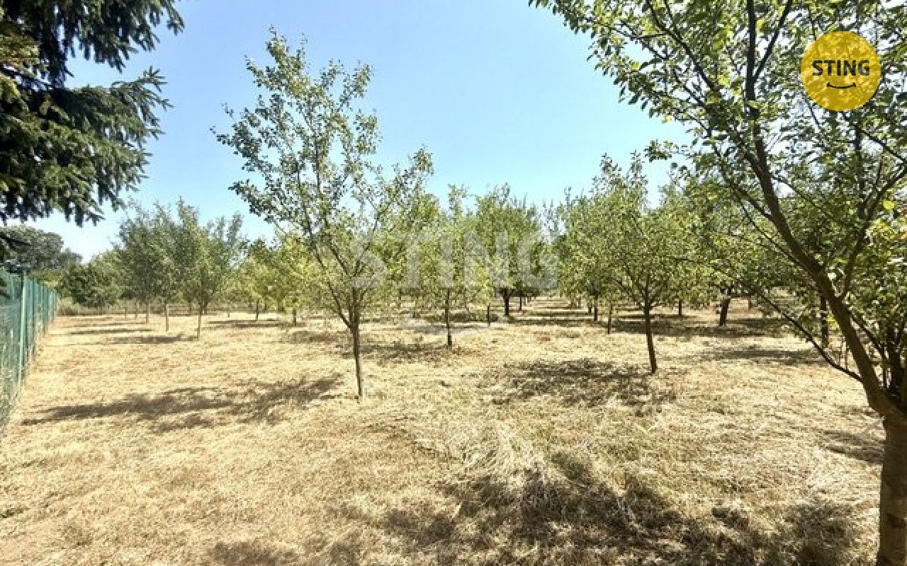 Zahrada · 4 652 m² · Strážnice - 4