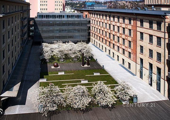 Pronájem kancelář - Praha - Holešovice, okres Praha 7, Hlavní město Praha, 650 m² - 2