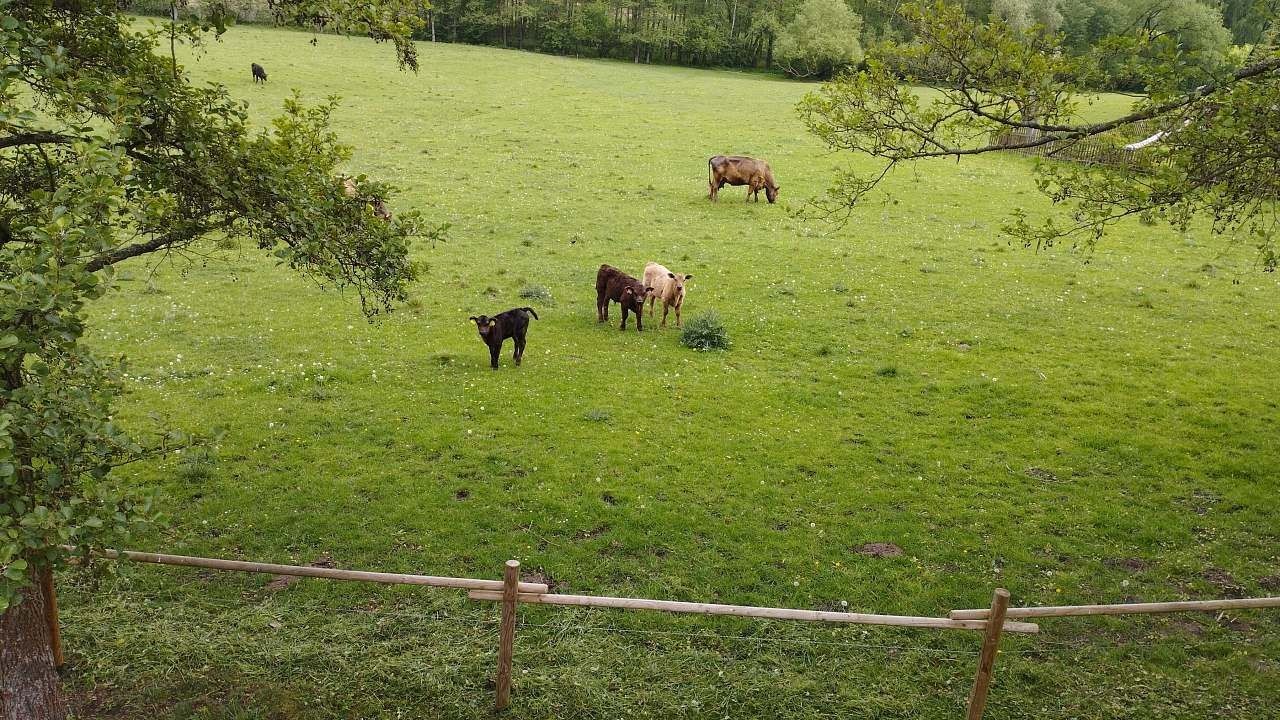 Chata · Libuň - Březka, Královéhradecký kraj - 3