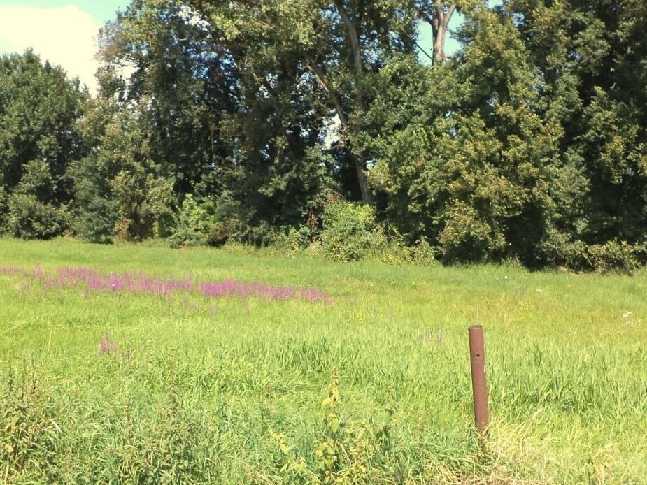 Zemědělský pozemek · 7 221 m² · Čejetice - 3