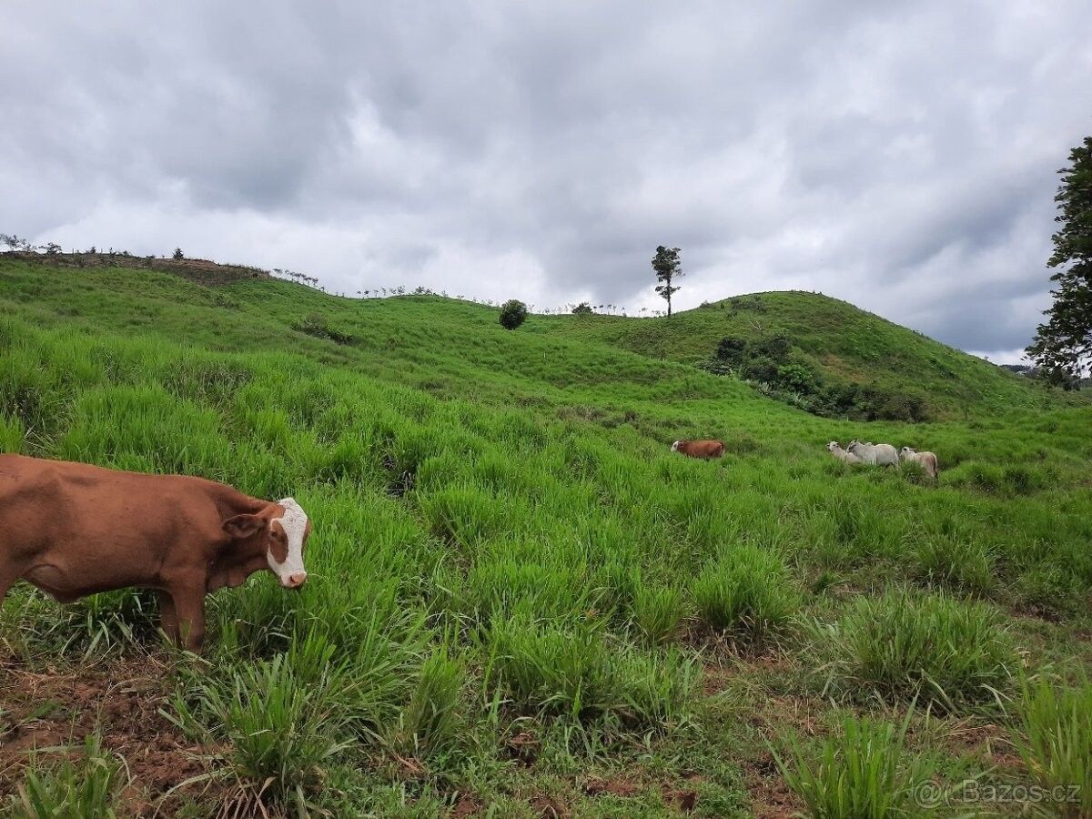 Prodej pozemek pro bydlení - 987 66, Zahraničí