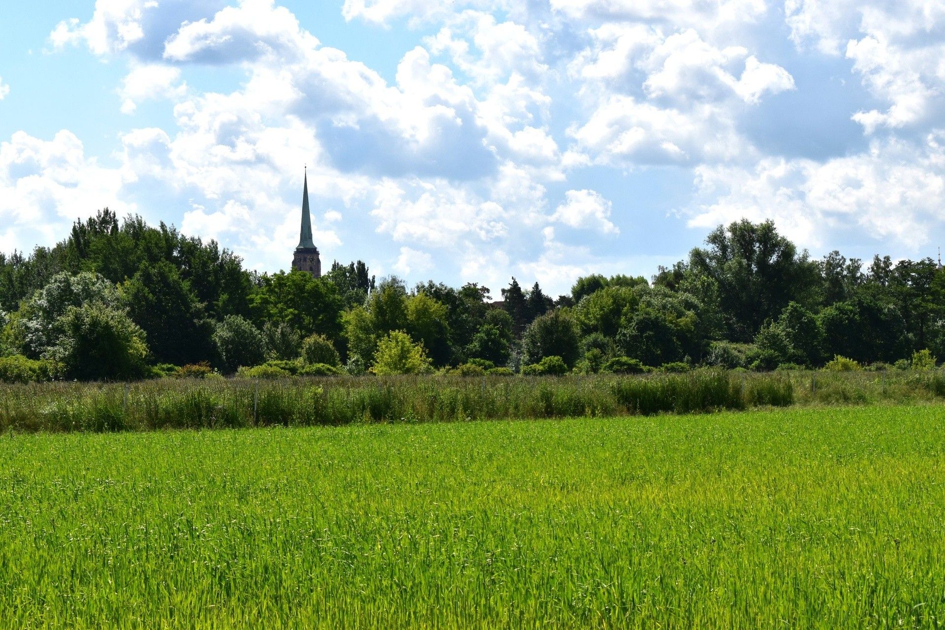Prodej zemědělský pozemek - Ke Slonům, Plzeň Severní Předměstí - 5