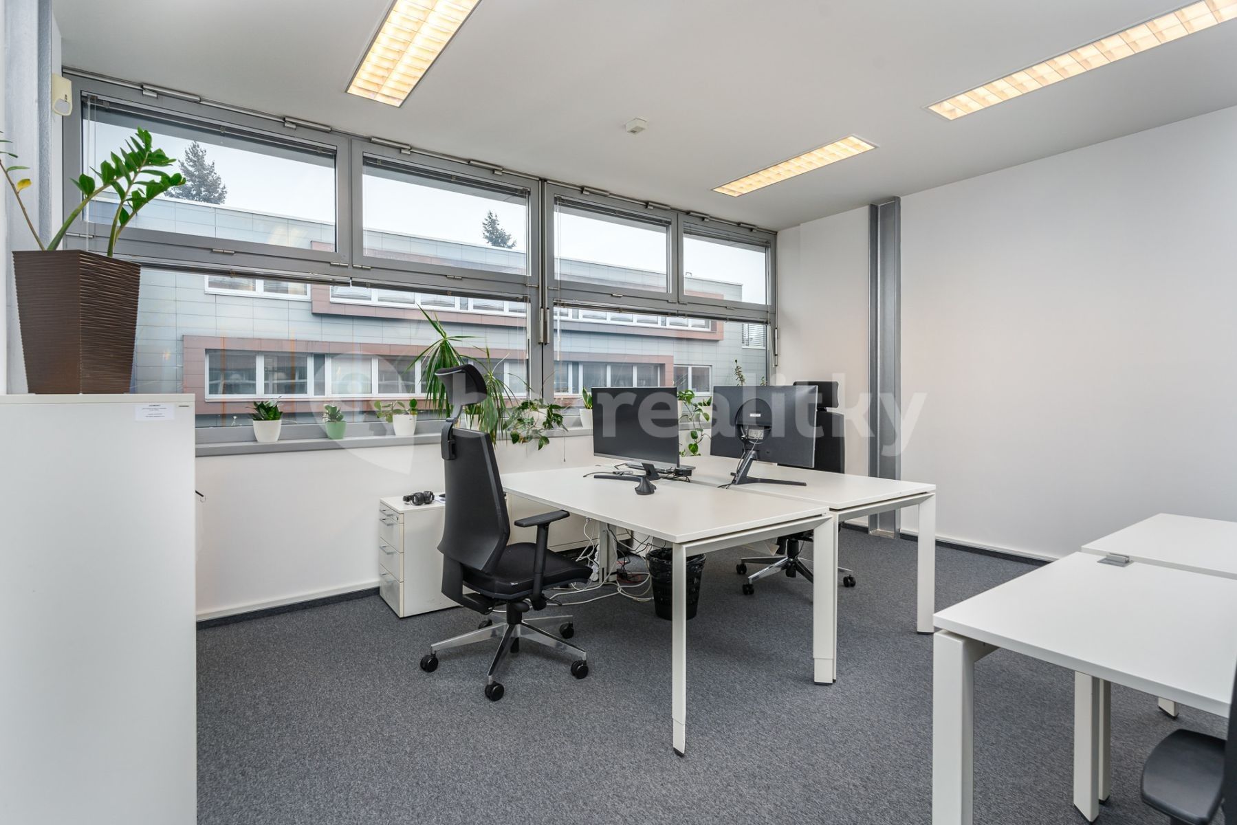 Kancelář · 450 m² · Plynárenská, Brno - Zábrdovice, Jihomoravský kraj - 3