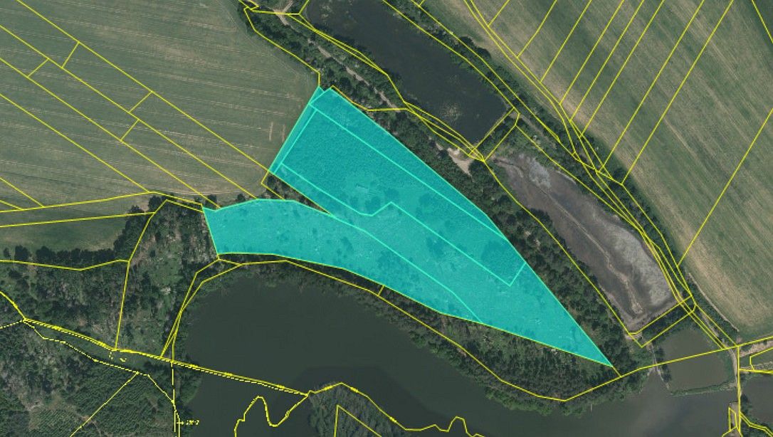 Les · Chotoviny - Liderovice, okres Tábor, Jihočeský kraj - 3