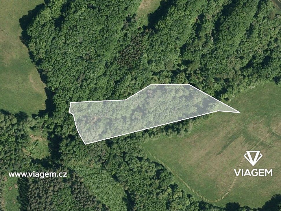 Prodej les - Velký Ořechov, okres Zlín, Zlínský kraj - 2