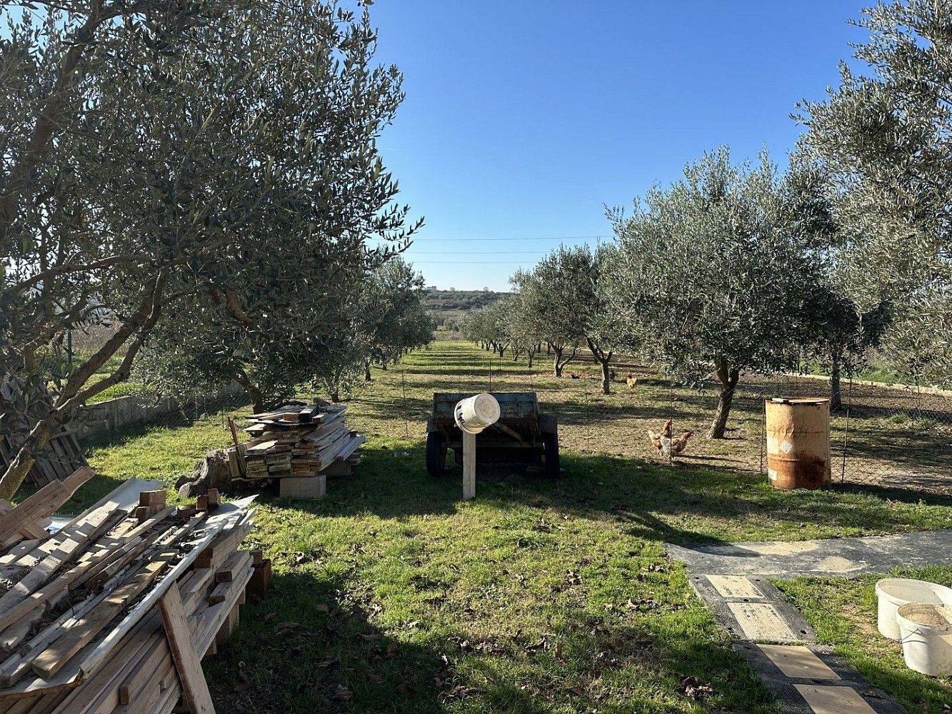 Zahrada, 2 046 m²