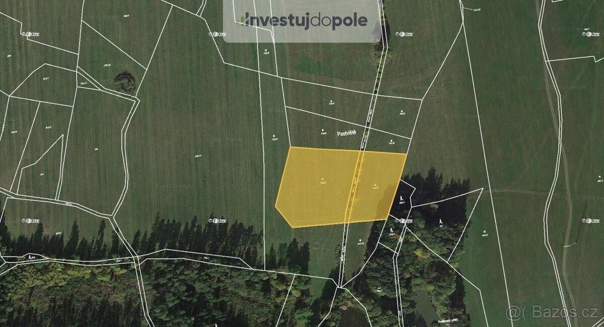 Prodej louka - Stráž nad Nežárkou, 378 02, 9 498 m²