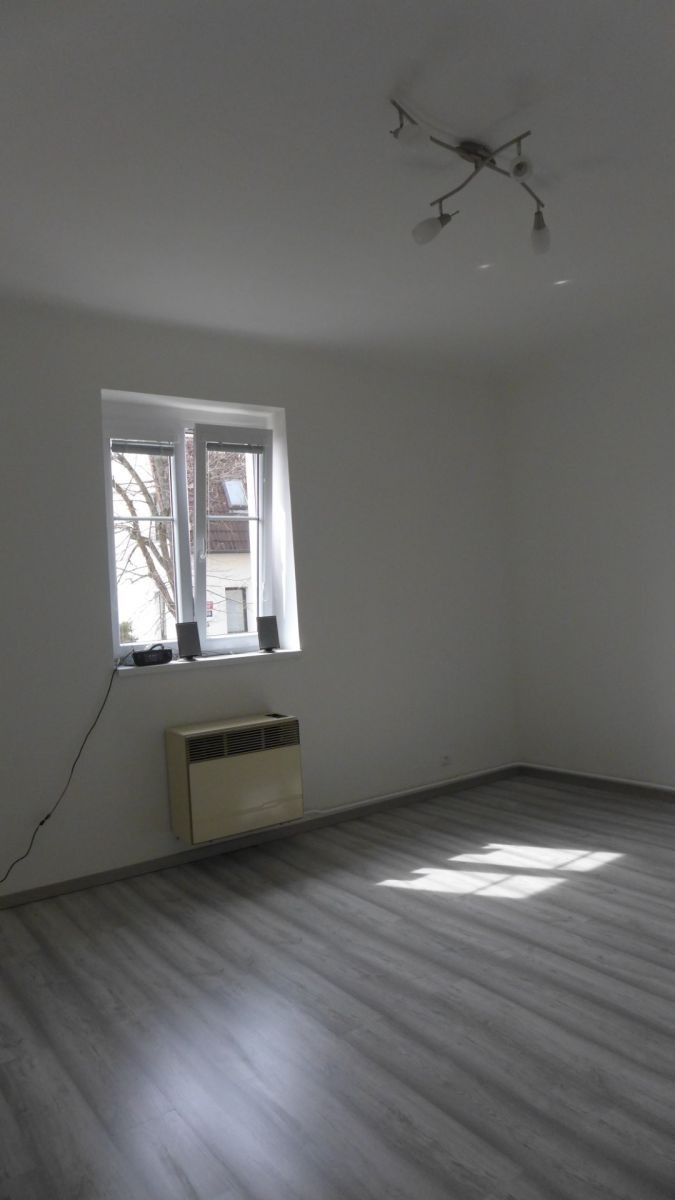 Prodej byt 1+1 - Pod Lipami, Praha - Žižkov, 44 m² - 5