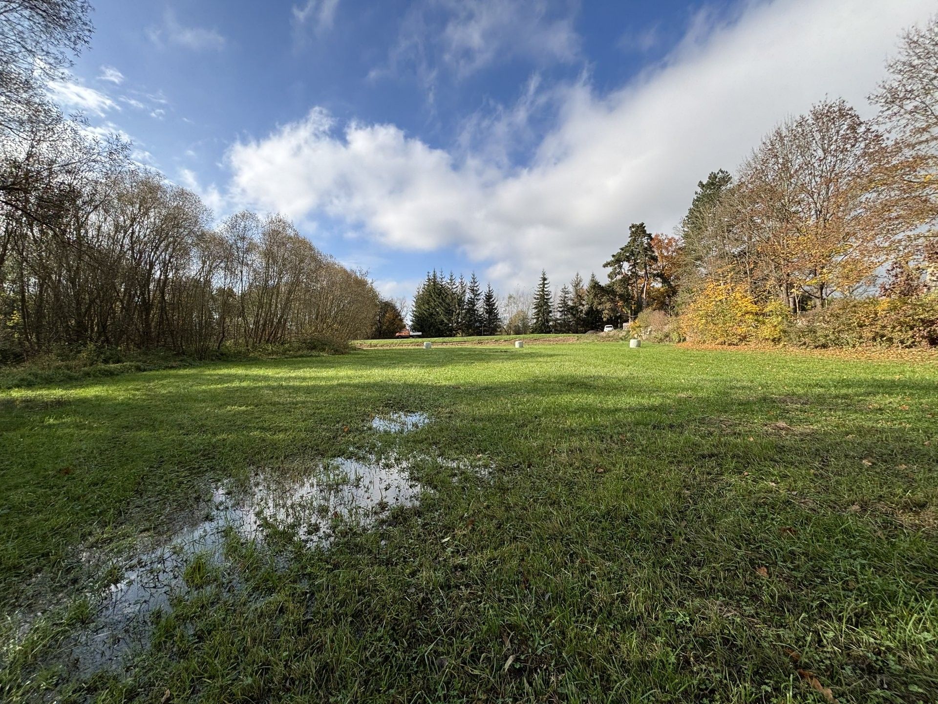 Prodej zemědělský pozemek - Janovice nad Úhlavou Veselí - 5