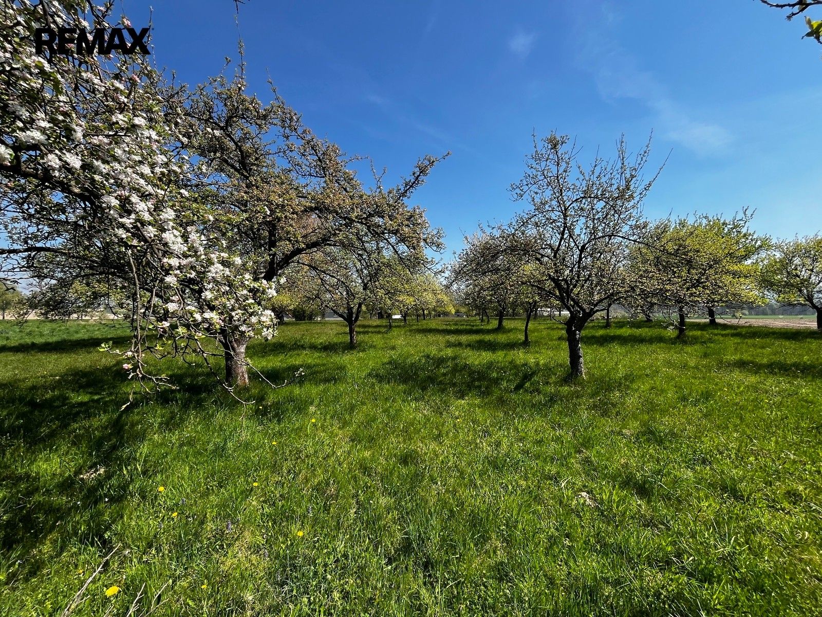 Ostatní, Horní Újezd, 7 559 m² - 1