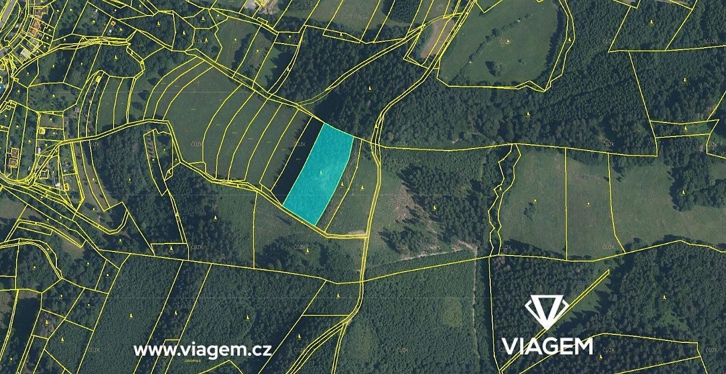 Prodej les - Vsetín, Zlínský kraj - 5