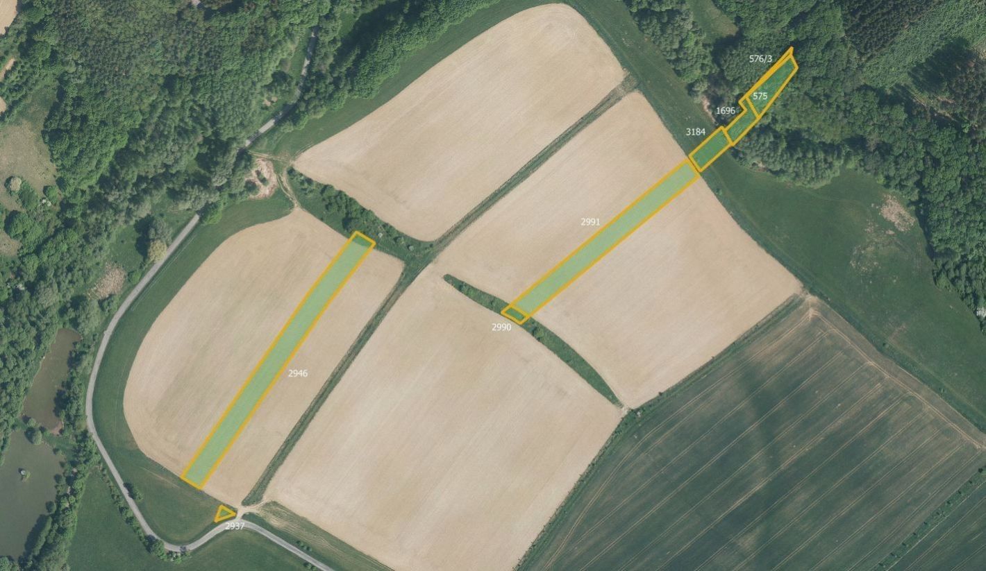 Prodej zemědělský pozemek - Komárov