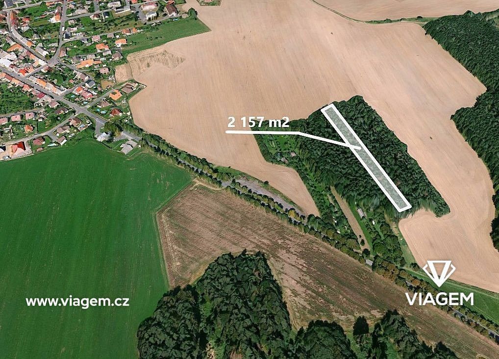 Les · Koloveč, okres Domažlice, Plzeňský kraj - 1